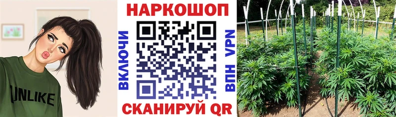 Наркотические вещества Борзя Псилоцибиновые грибы  Гашиш  А ПВП 