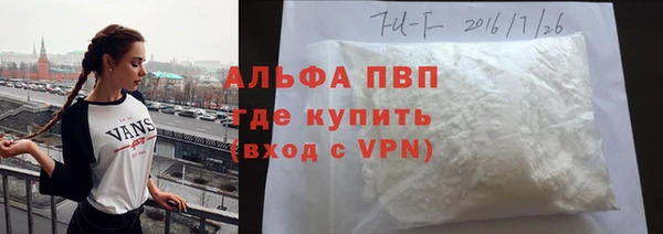 прущие грибы Армянск
