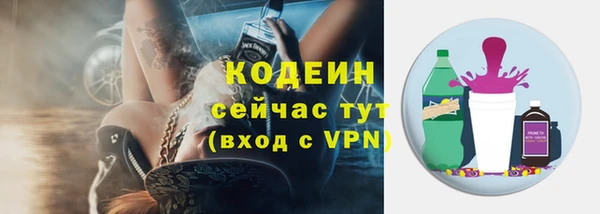 прущие грибы Армянск