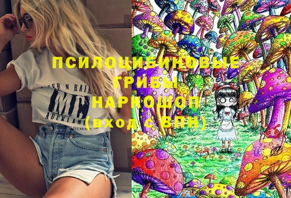 прущие грибы Армянск